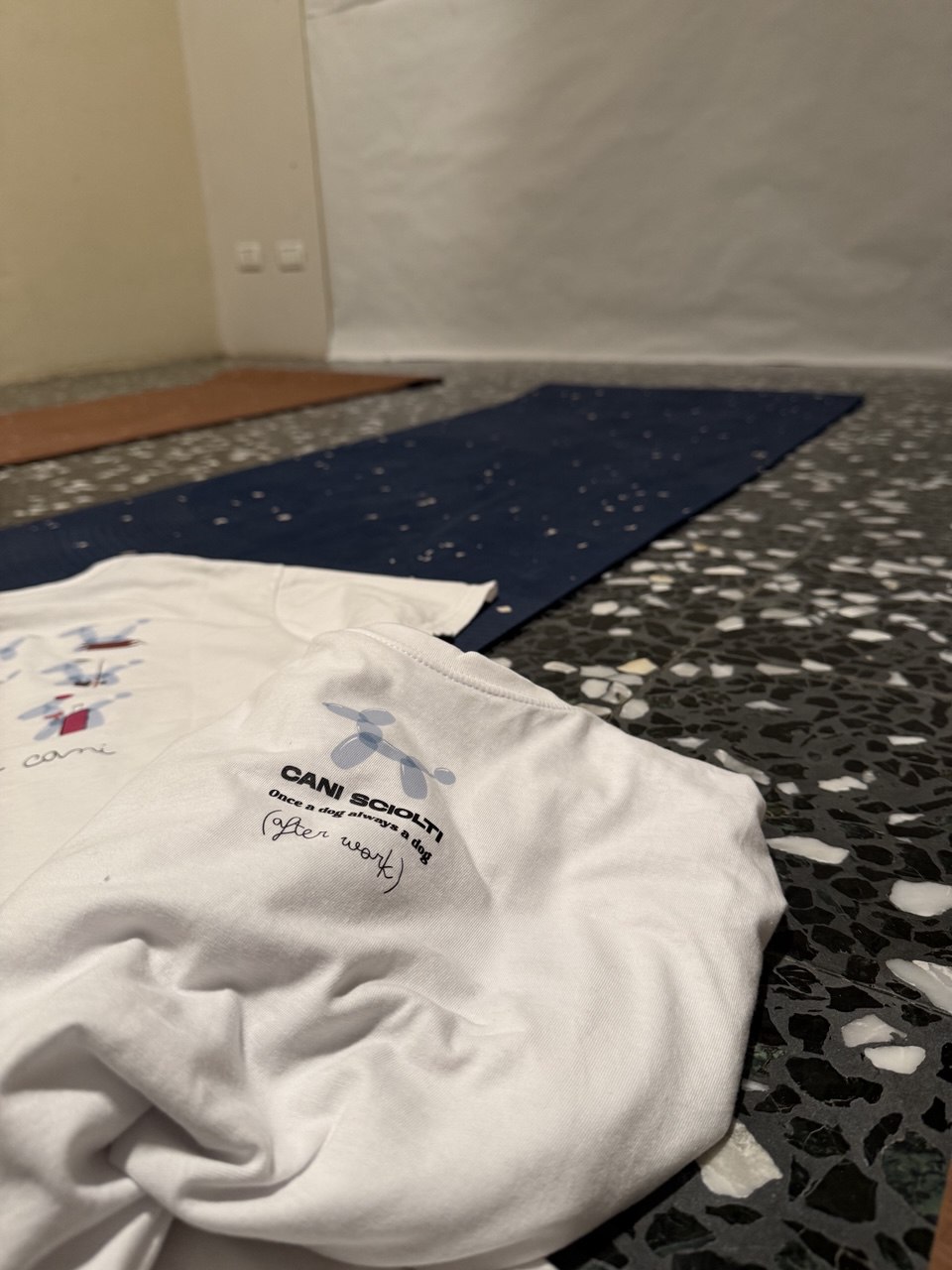 Image 4